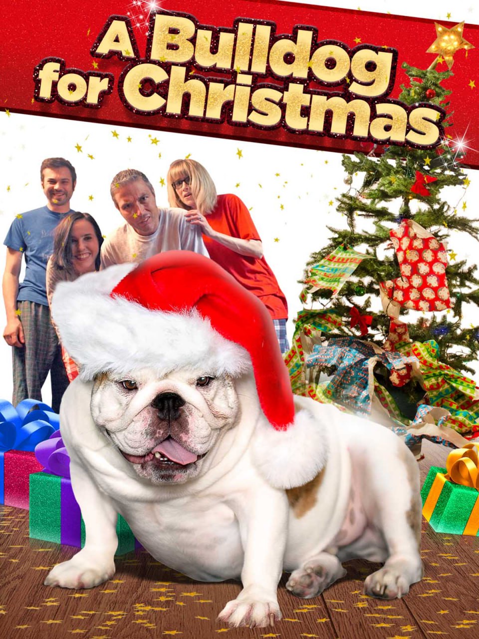 圣诞节的斗牛犬