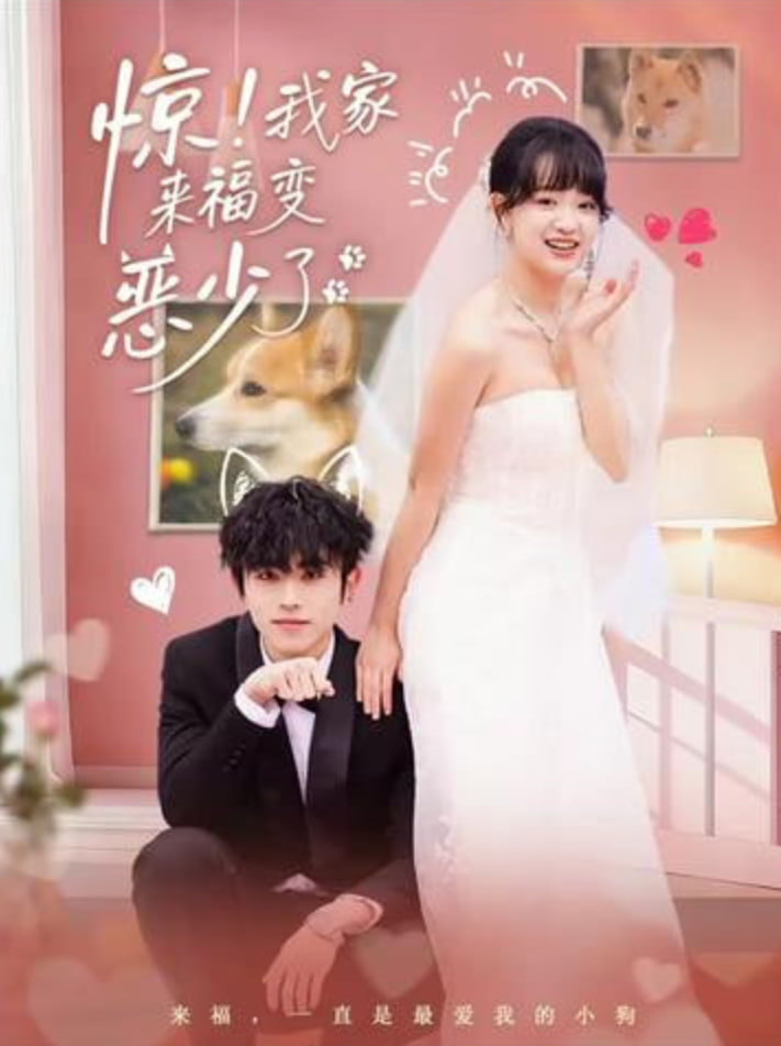 惊！我家来福变恶少了（忠犬变恶少）